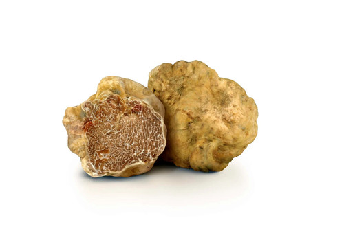 Tartufo bianco intero - tartufo, in