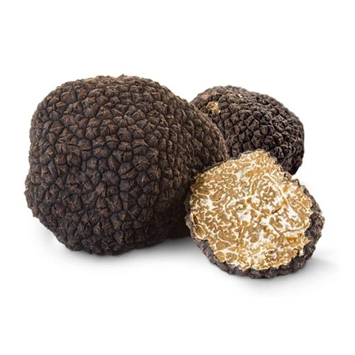 Tartufo estivo conservato - tartufo,